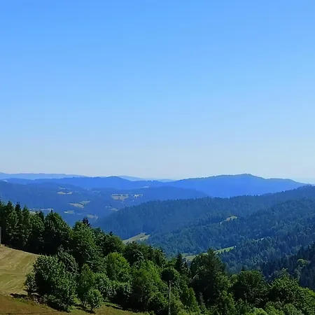 Pod Brzozka Ochotnica Górna
